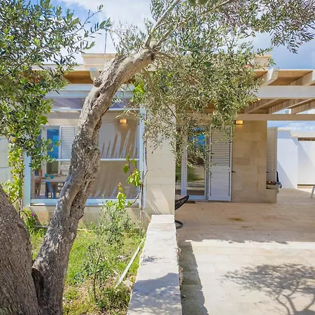 فيلة La Reimunda