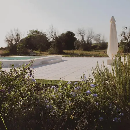 La Reimunda فيلة